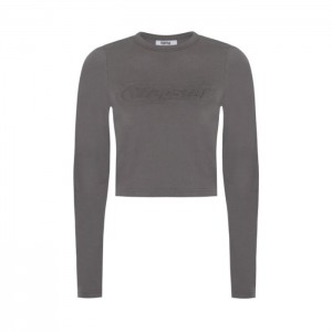 Grey Trapstar Hyperdrive Cropped Long Sleeve Women's Top India | AT40-780