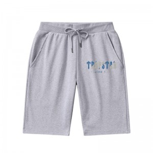 Grey Trapstar It's A Secret Men's Shorts India | UL66-461