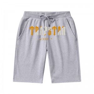 Grey Trapstar Winter Causal It's a Secret Men's Shorts India | EF35-943